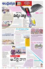Nellore District