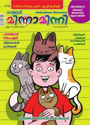 Minnaminni - 2021 January 20