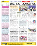 Krishna Constituencies