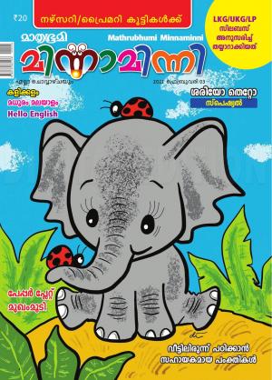 Minnaminni - 2021 February 3