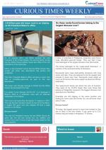 Curious Times Weekly