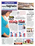 Bhadradri Kothagudem