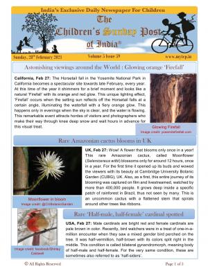 The Children's Post, 28th Feb 2021