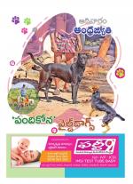 Sunday Telangana