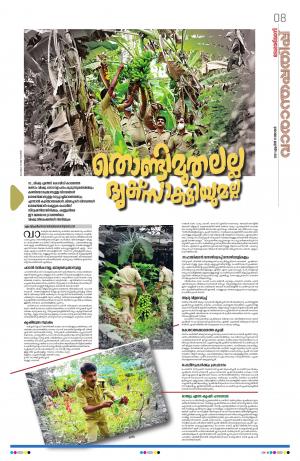 Weekend, 11th April 2021