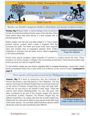 The Children's Post, 8th May 2021