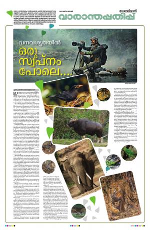 weekend, 16th May 2021