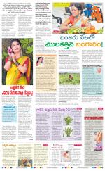Navya Daily