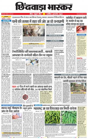 छिंदवाड़ा