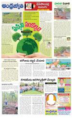 Jayashankar Bhupalpally