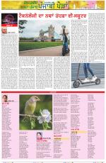 Punjabi Paidan (Des-Pardes Vasda Punjab/Punjabi Diaspora)