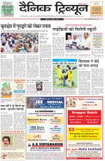 Dainik Tribune (Rohtak Edition)