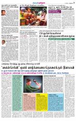 Nellai City-Tirunelveli Supplement