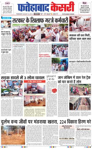 punjab kesari / haryana fatehabad kesari
