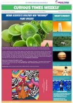 Curious Times Weekly