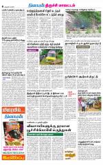 Trichy Supplement