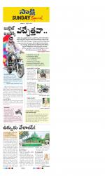 Jayashankar District