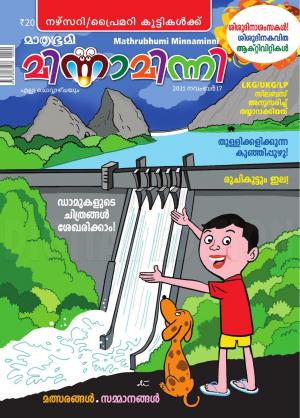 Minnaminni - 2021 November 17