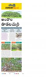 Siddipet District