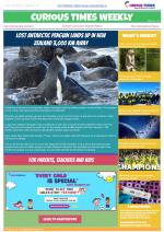 Curious Times Weekly