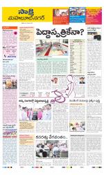 Mahabubnagar District