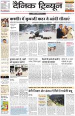 Dainik Tribune (Rohtak Edition)