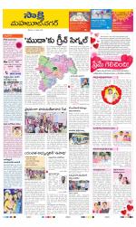 Mahabubnagar District