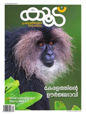 Koodu Magazine