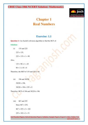 CBSE Class 10 NCERT Solution Mathematics Real Number