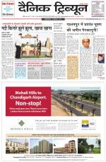 Dainik Tribune (Rohtak Edition)