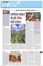 Dainik Tribune (Lehrein)