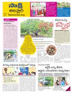 Alluri Sitarama Raju District