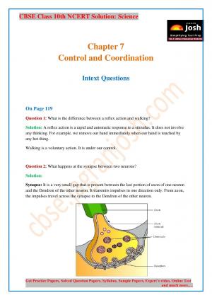 CBSE Class 10 NCERT Solution Science Control and Coordination