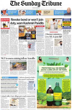 The Tribune