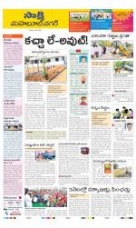 Mahabubnagar District