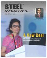 Steel Insights