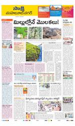 Mahabubnagar District