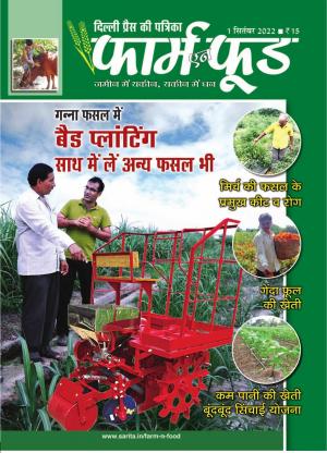 September First 2022