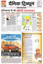 Dainik Tribune (Rohtak Edition)
