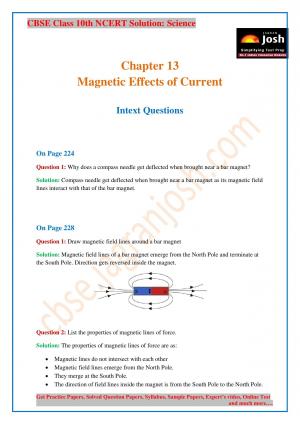CBSE Class 10 NCERT Solution Science Magnetic Effects of Electric Current