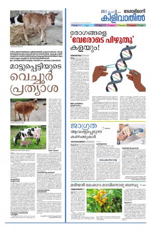 KIlivathil 13 November 2022