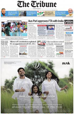 The Tribune