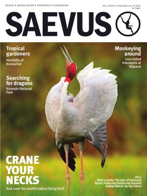 SAEVUS NOV 14