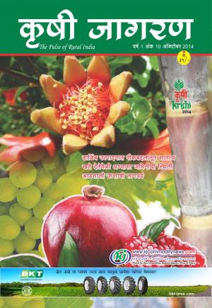 Marathi_October 2014