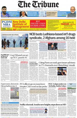 The Tribune