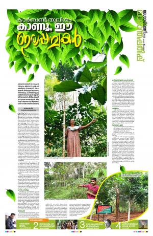 Weekend, 15th January 2023