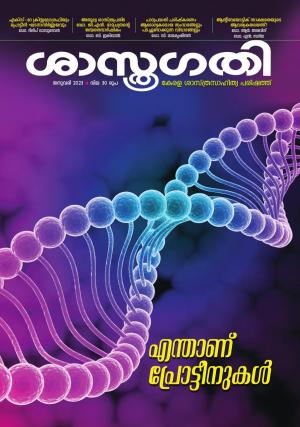 Read Now