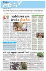 Dainik Tribune (Lehrein)