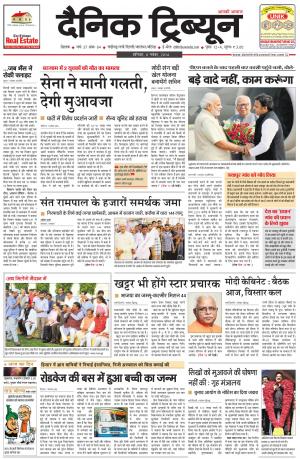 DT_08_November_2014_Rohtak