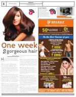 VIII, 08-14 November 2014, 8 Edition